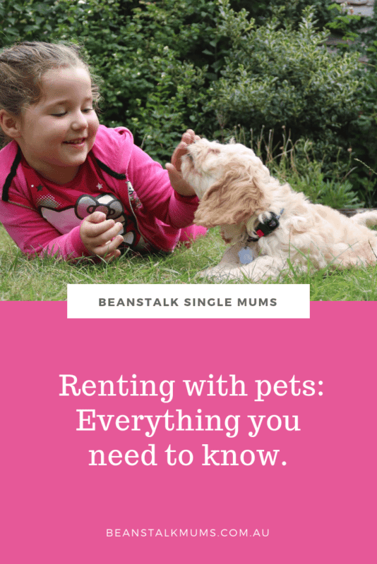 Renting with pets Everything you need to know. Beanstalk Mums