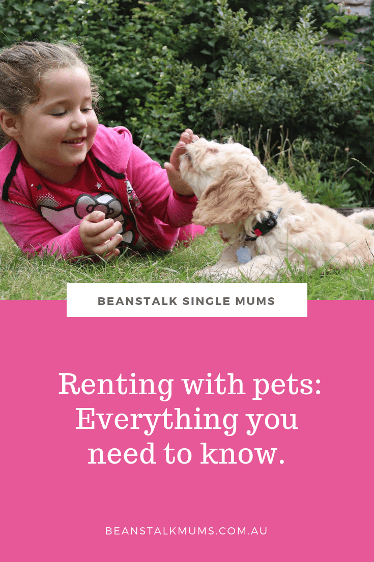 Renting with pets: Everything you need to know | Beanstalk Single Mums Pinterest