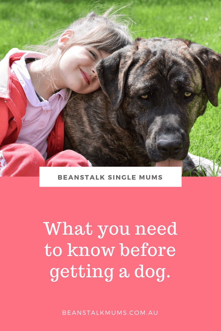 What You Need To Know Before Getting A Dog - Beanstalk Mums