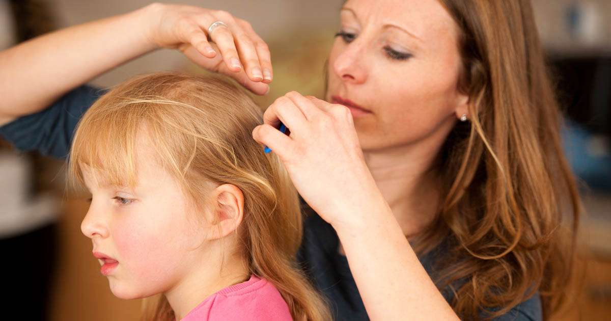 Head lice treatments