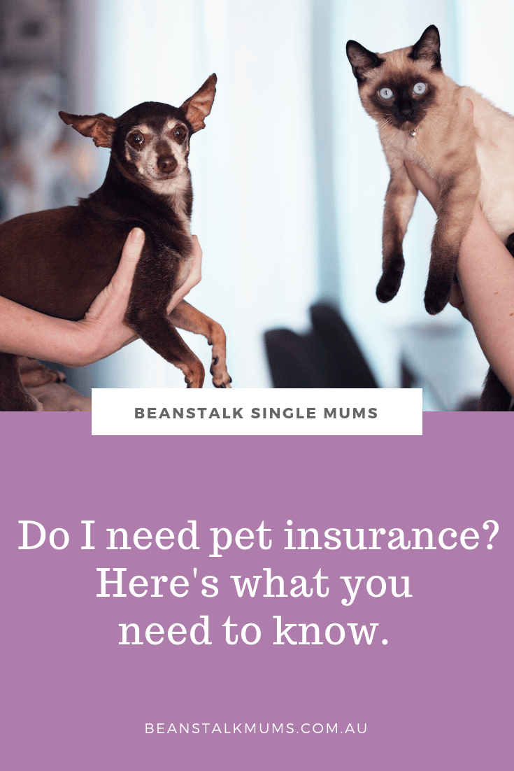 Do I need pet insurance? | Beanstalk Single Mums Pinterest
