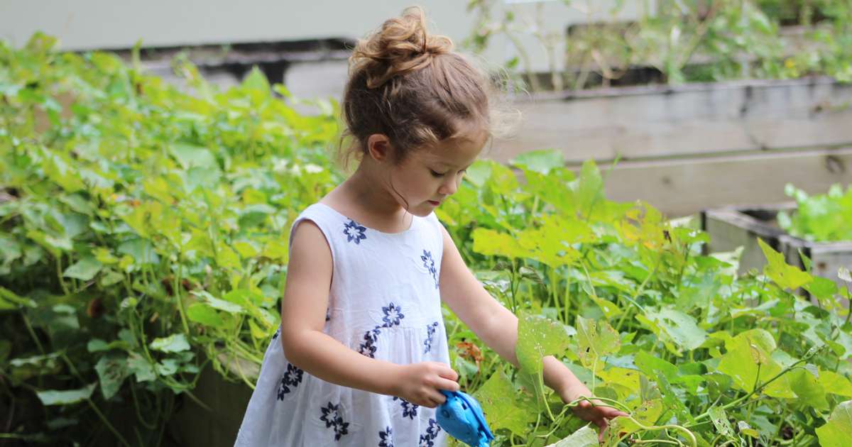 Tips for growing food with your children | Beanstalk Mums
