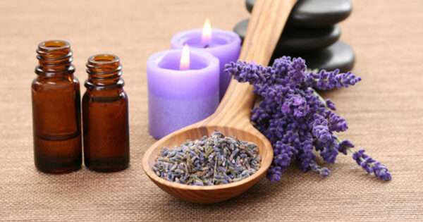 Lavender oil | Beanstalk Single Mums