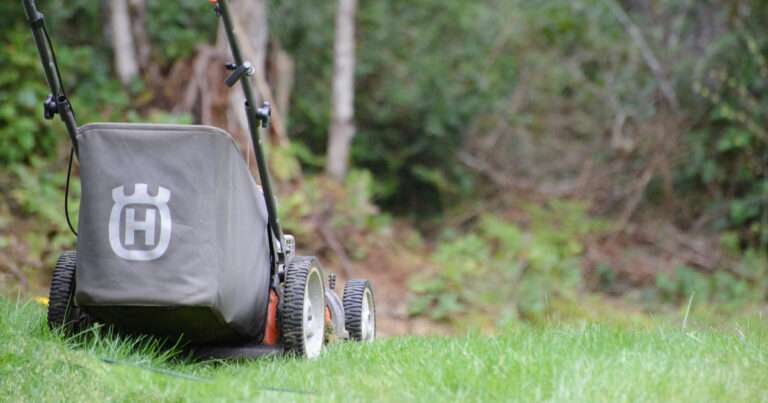 Buying a lawn mower | Beanstalk Mums