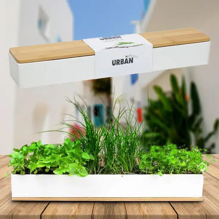 Herb growing kit gift ideas for mums