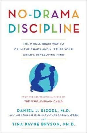 No Drama Discipline | Beanstalk Single Mums