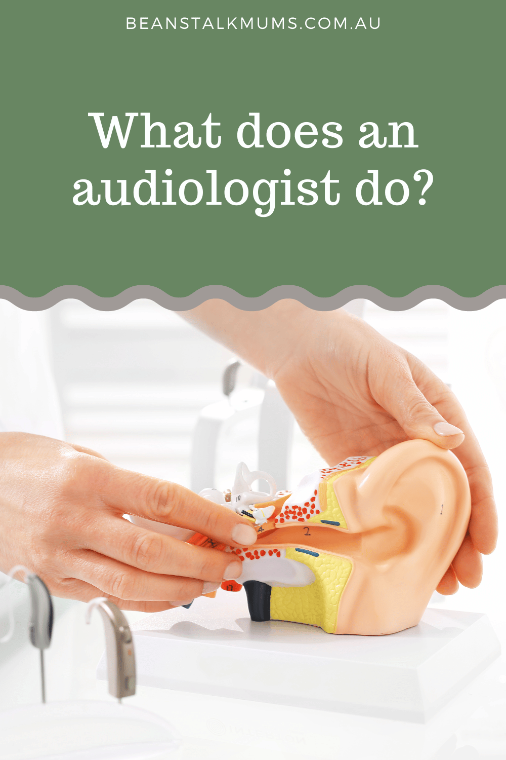 Have You Ever Wondered What An Audiologist Does?