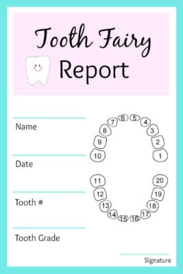 Tooth Fairy Report by The Suburban Mom