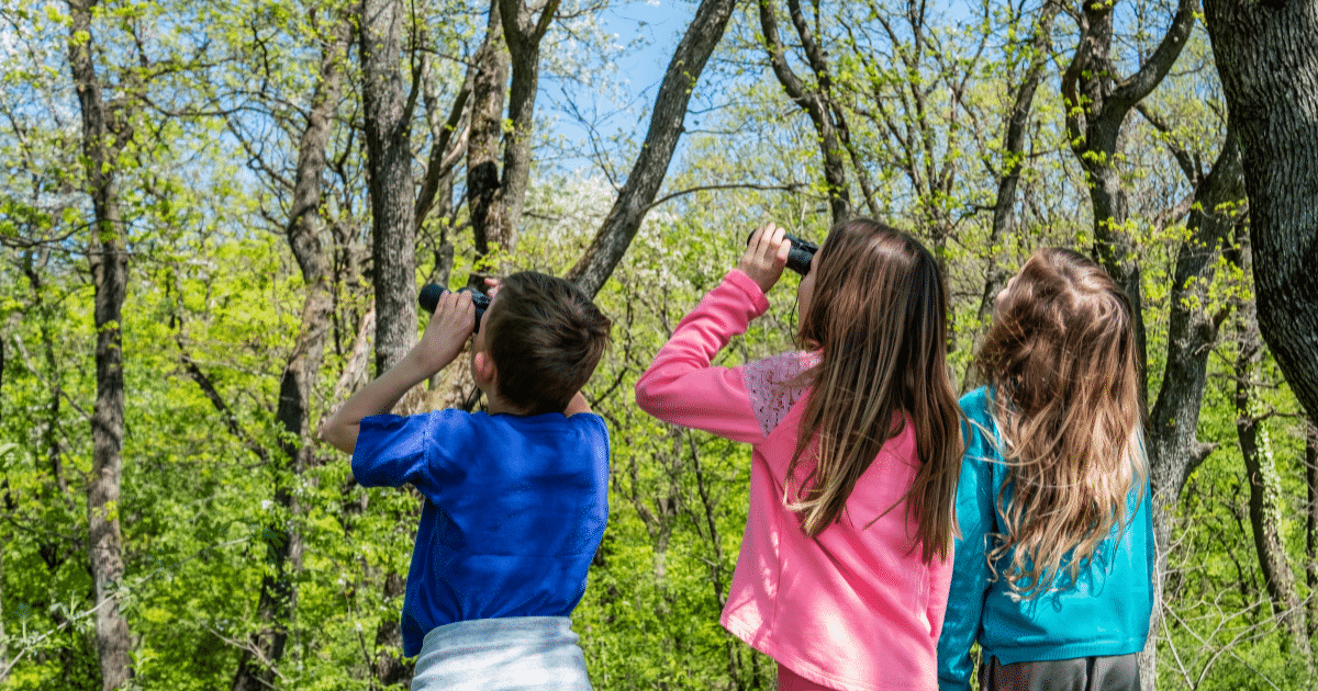 Garden wildlife activities