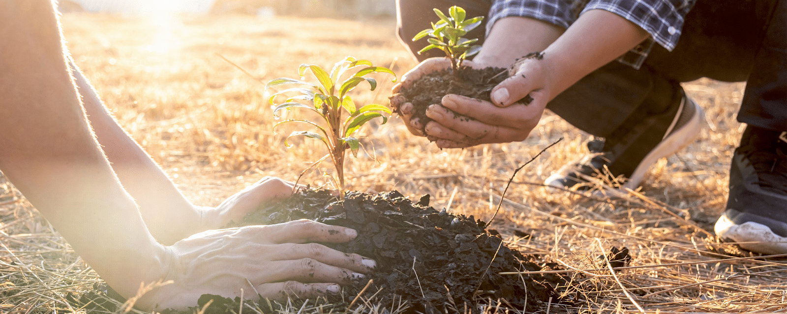 Get Your Hands Dirty