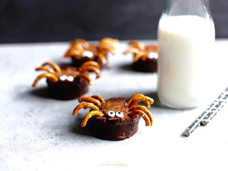 brownie spider