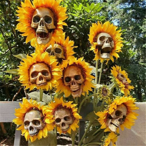 Sunflower Skulls Halloween decorations in Australia