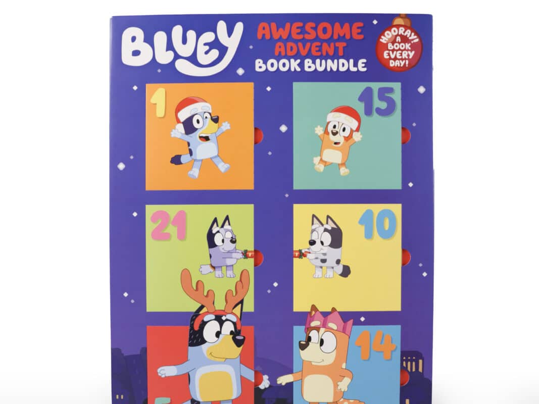 Bluey Advent calendar | Advent calendar for kids