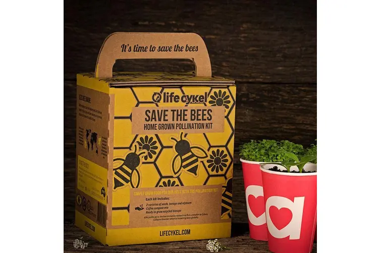 Bee pollination kit | gift ideas for mums