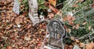 Halloween Decorations