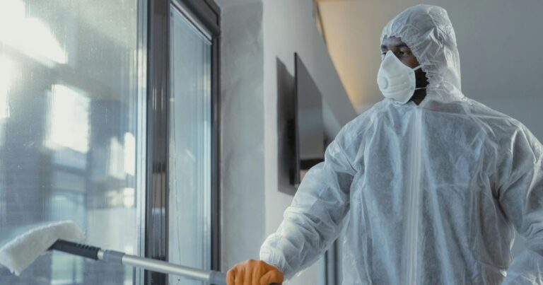 Professional window cleaners - Beanstalk Mums