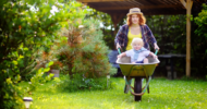 kid-safe pest prevention for a family home